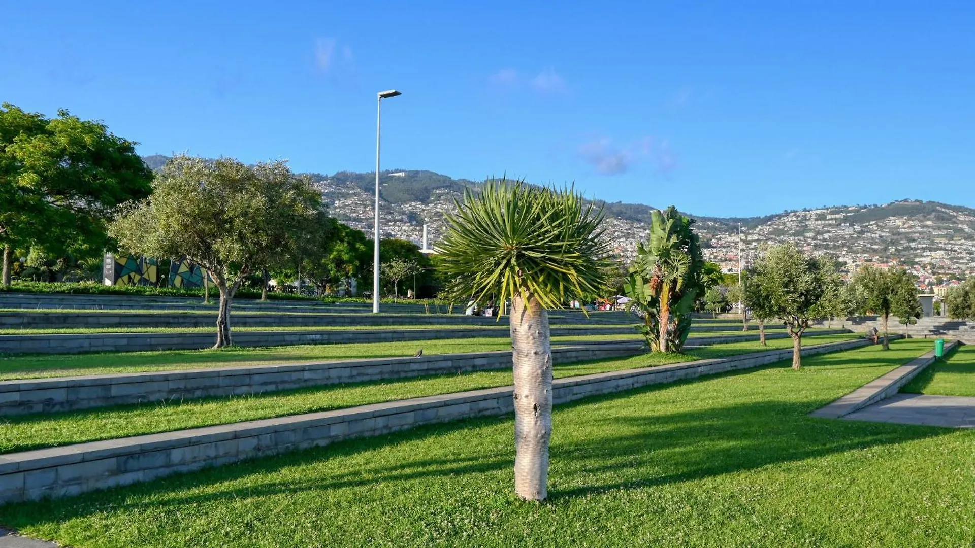 Apartment Beco Santa Emilia 1C, A Home In Madeira Funchal